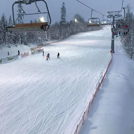 Pod Kasztanem بيت خشبي *