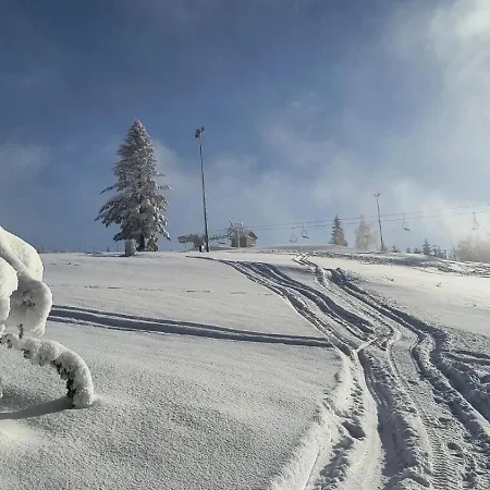 بيت خشبي Pod Kasztanem Zwardoń