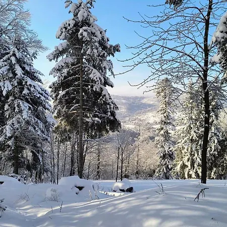 Pod Kasztanem Lodge Zwardon