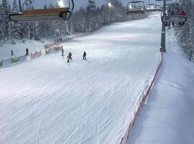 Pod Kasztanem Chata *