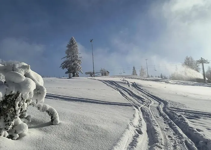 Chata Pod Kasztanem Zwardoń