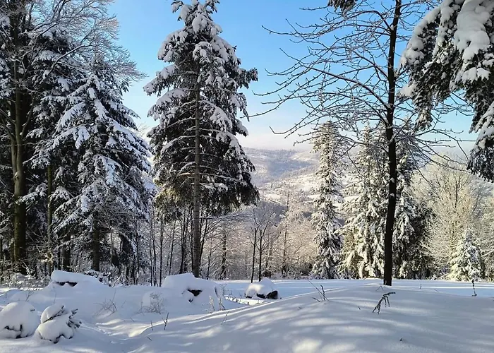Pod Kasztanem Chata Zwardoń